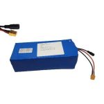 Bateria 48V 15Ah Cecotec Bongo Serie Z